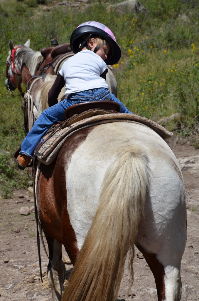 8-24-14 summer 2014 (colorado) 191